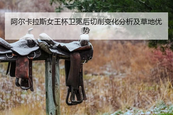 a-er-ka-la-si-nv-wang-bei-wei-mian-hou-qie-xiao-bian-hua-fen-xi-ji-cao-di-you-shi-2-904.jpg